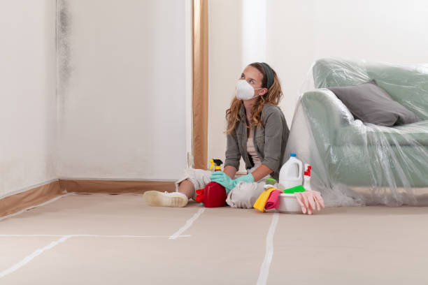 Reliable Mold Inspection contractor in Westport, WA by WQB Mold Removal