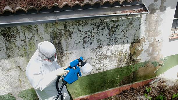 Top rated local Mold Inspection specialists in Westport, WA